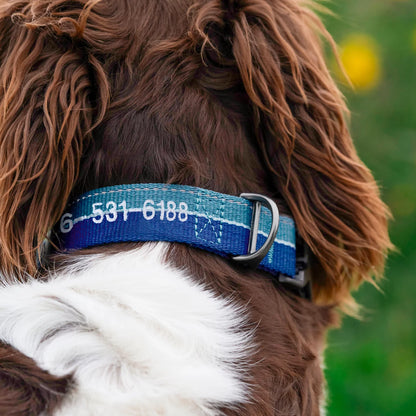 Tough Trail® Collar 2.0 / Orvis