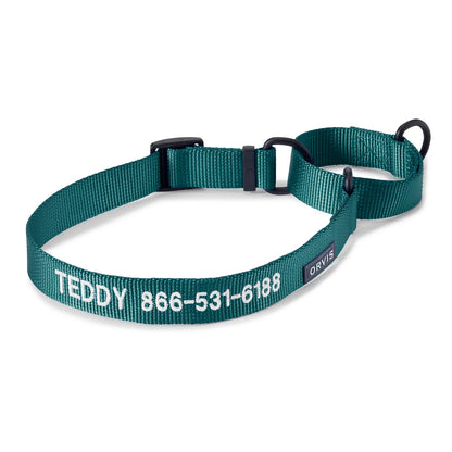 Orvis Personalized Martingale Dog Collar / Orvis