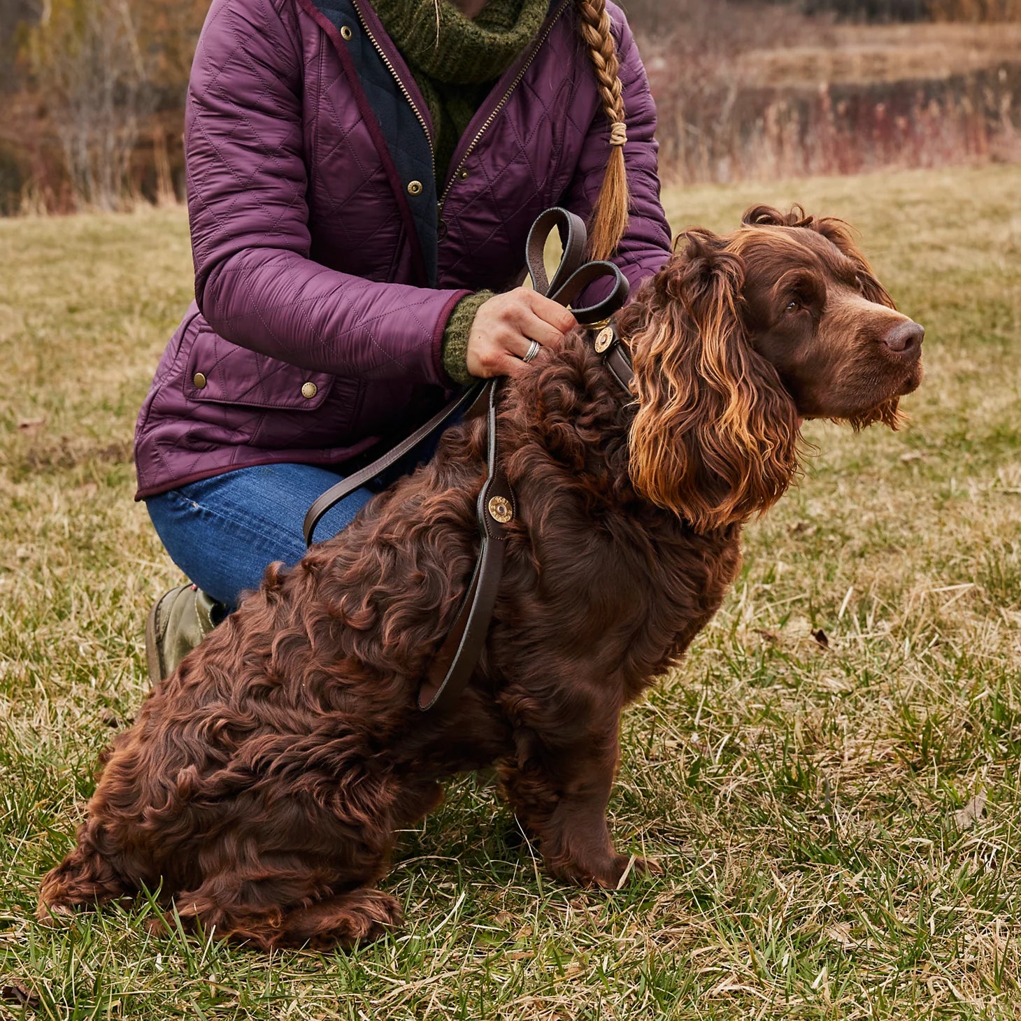 Shotshell Dog Collar / Orvis