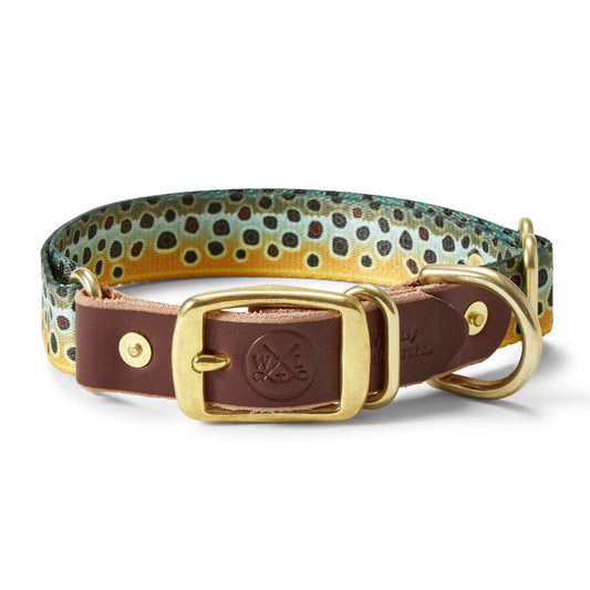 Whiskey Leatherworks Adjustable Collar / Orvis