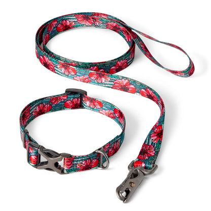 Orvis x Fishe® Wear Collar / Orvis