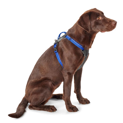 Tough Trail® Four-Point Dog Harness / Orvis