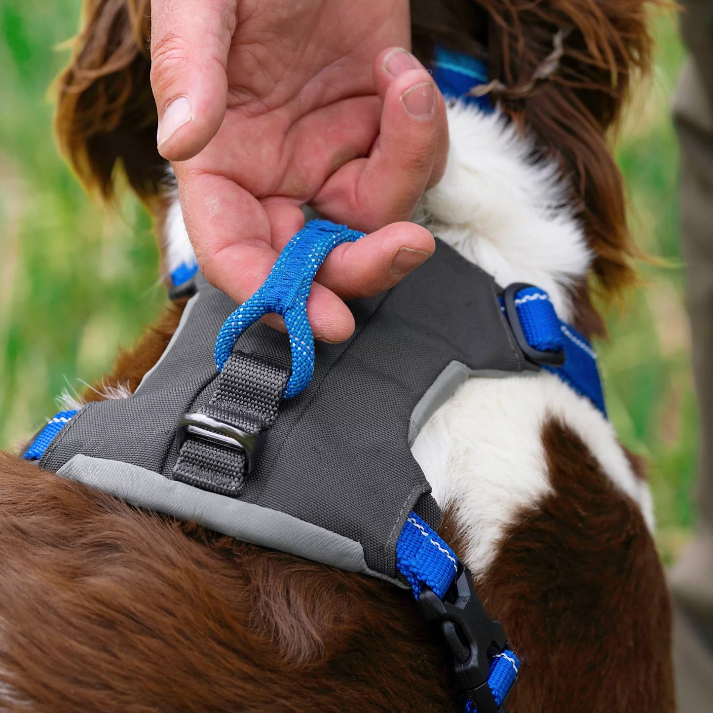 Tough Trail® Four-Point Dog Harness / Orvis