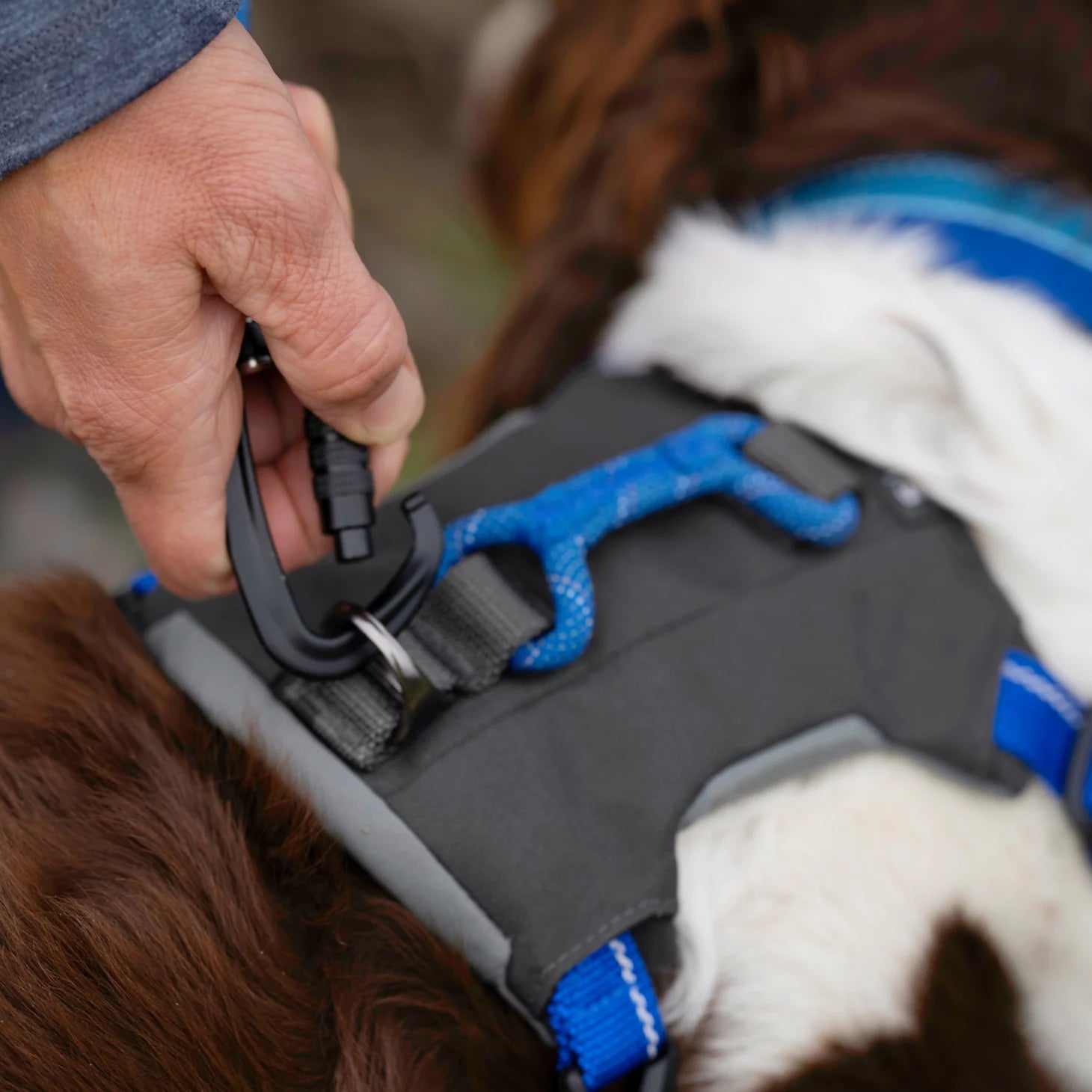 Tough Trail® Four-Point Dog Harness / Orvis