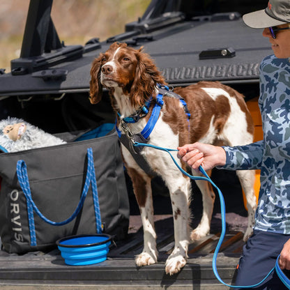 Tough Trail® Four-Point Dog Harness / Orvis