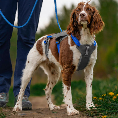 Tough Trail® Six-Point Dog Harness / Orvis