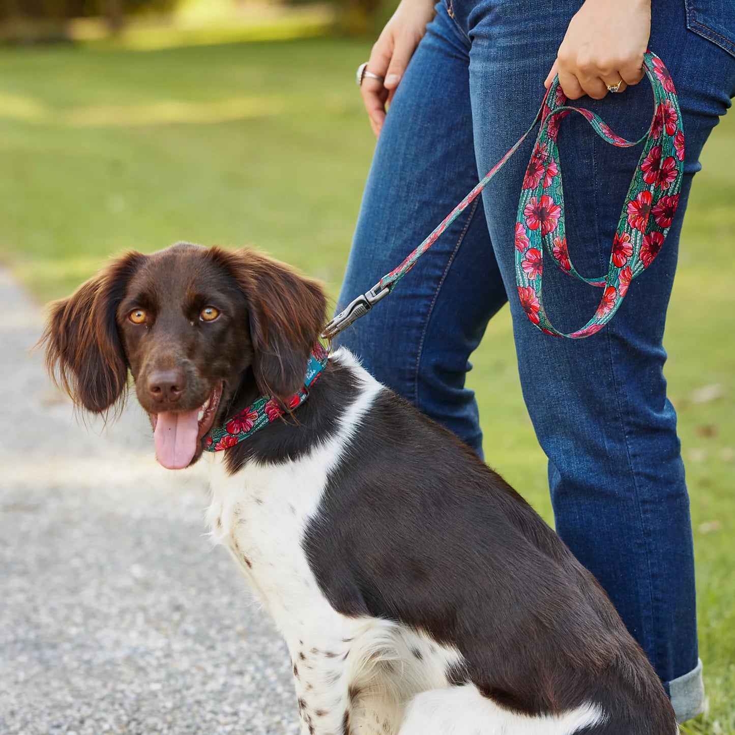 Orvis x Fishe® Wear Dog Leash / Orvis