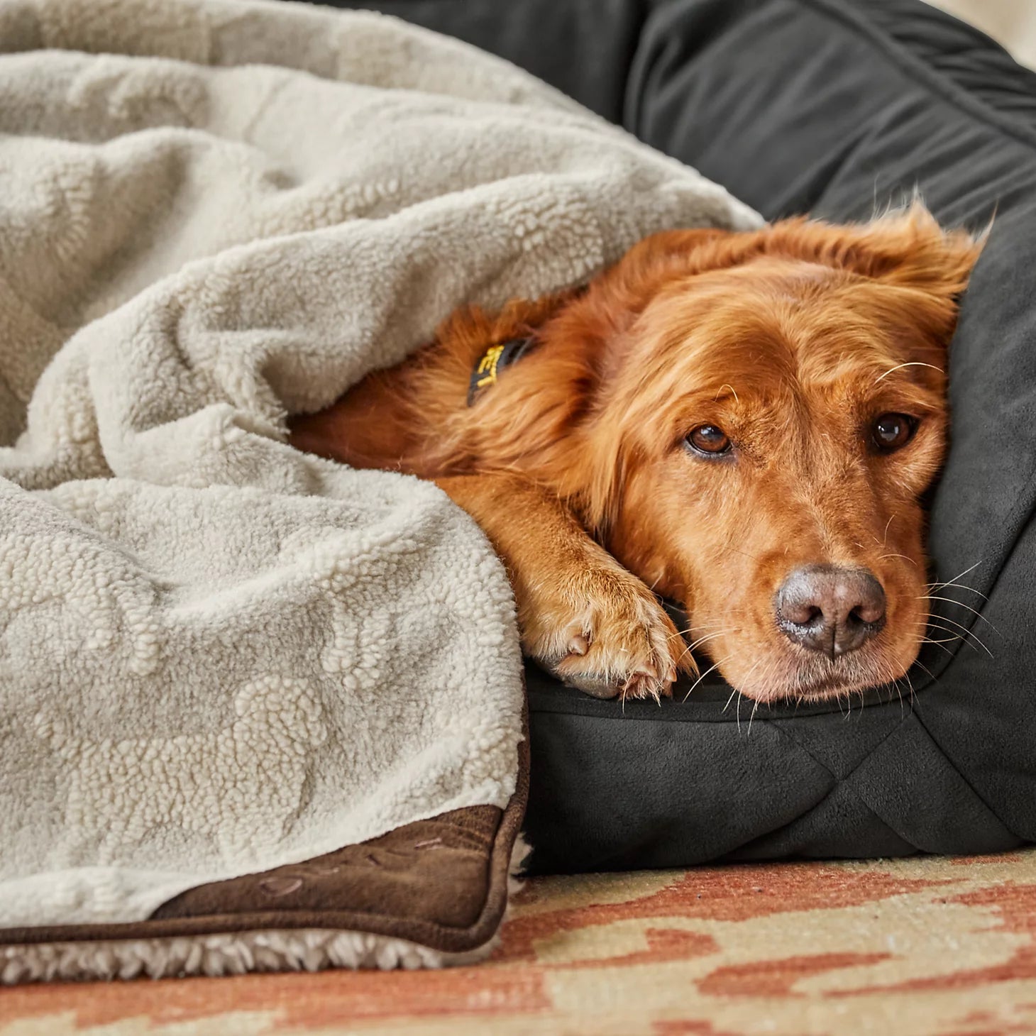 Embossed Sherpa Throw / Orvis