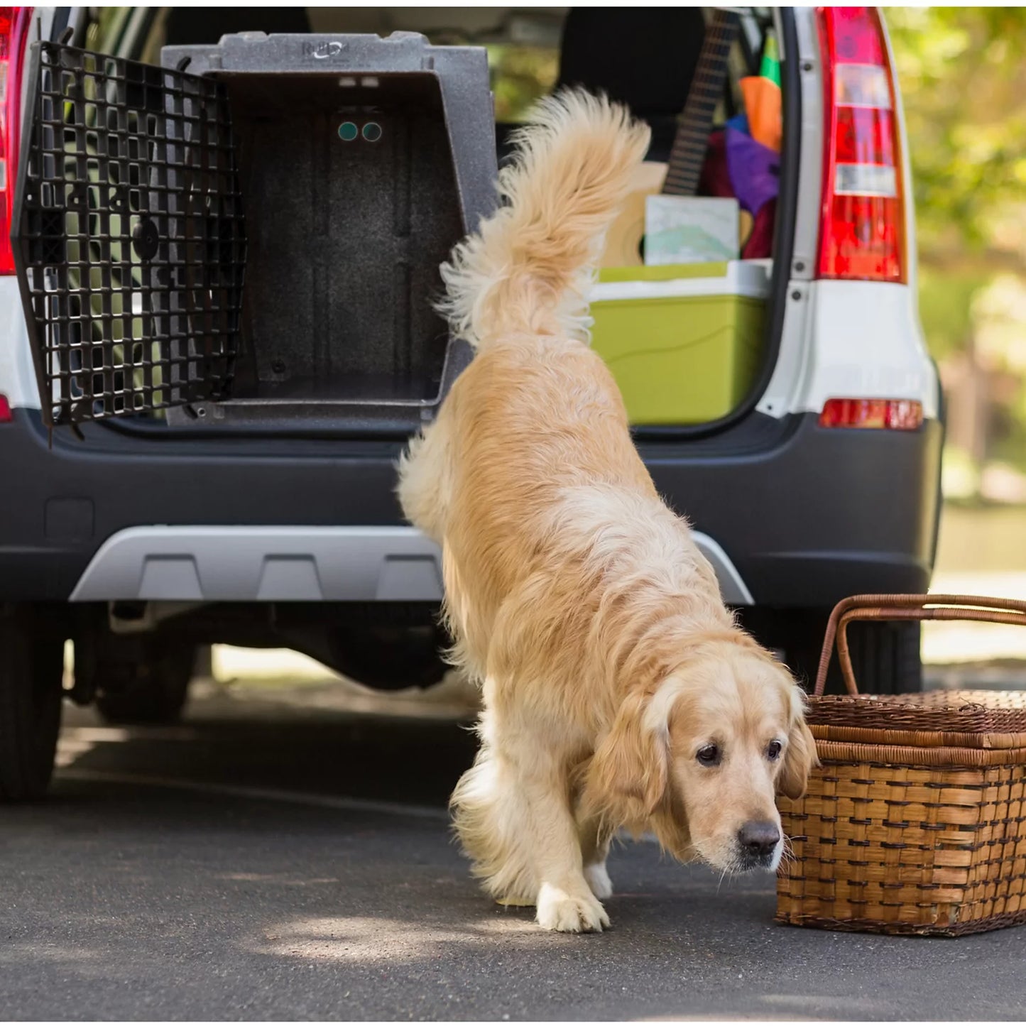 Ruff Land™ Performance Dog Kennel / Orvis