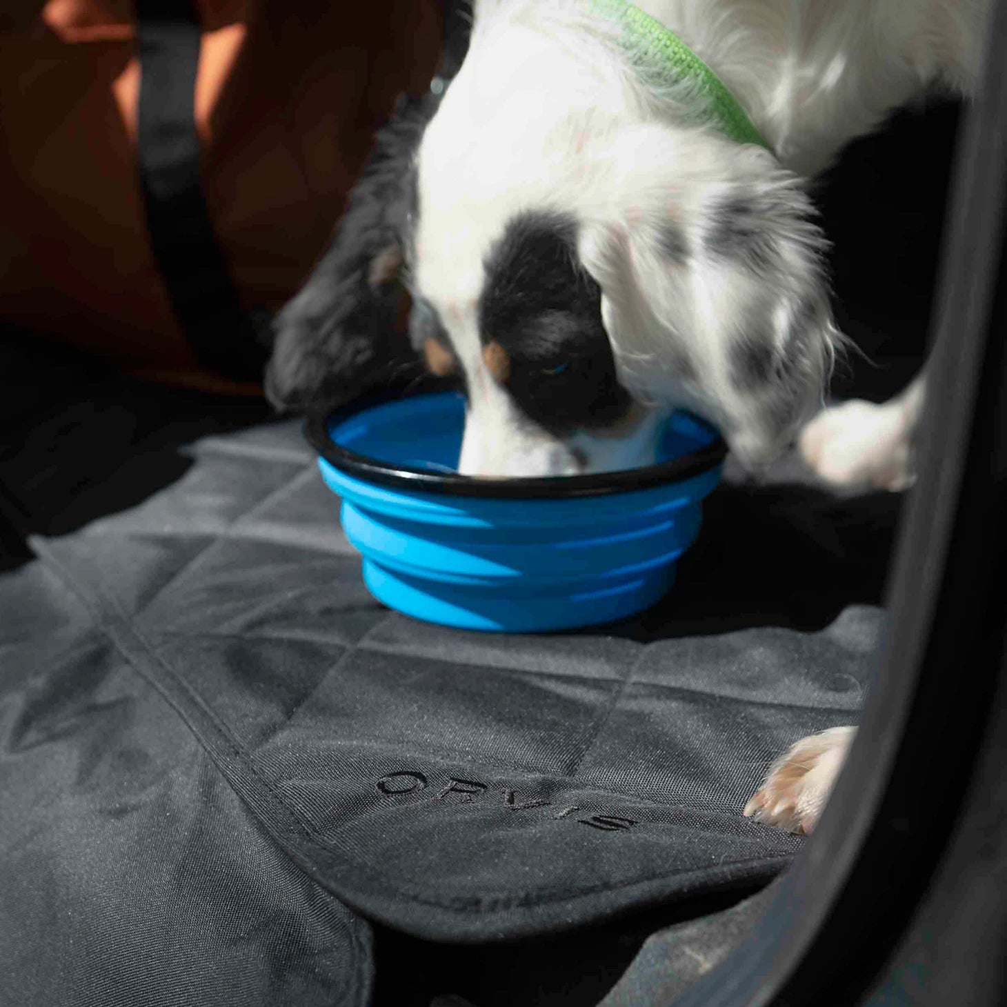 Tough Trail® Collapsible Dog Bowl / Orvis