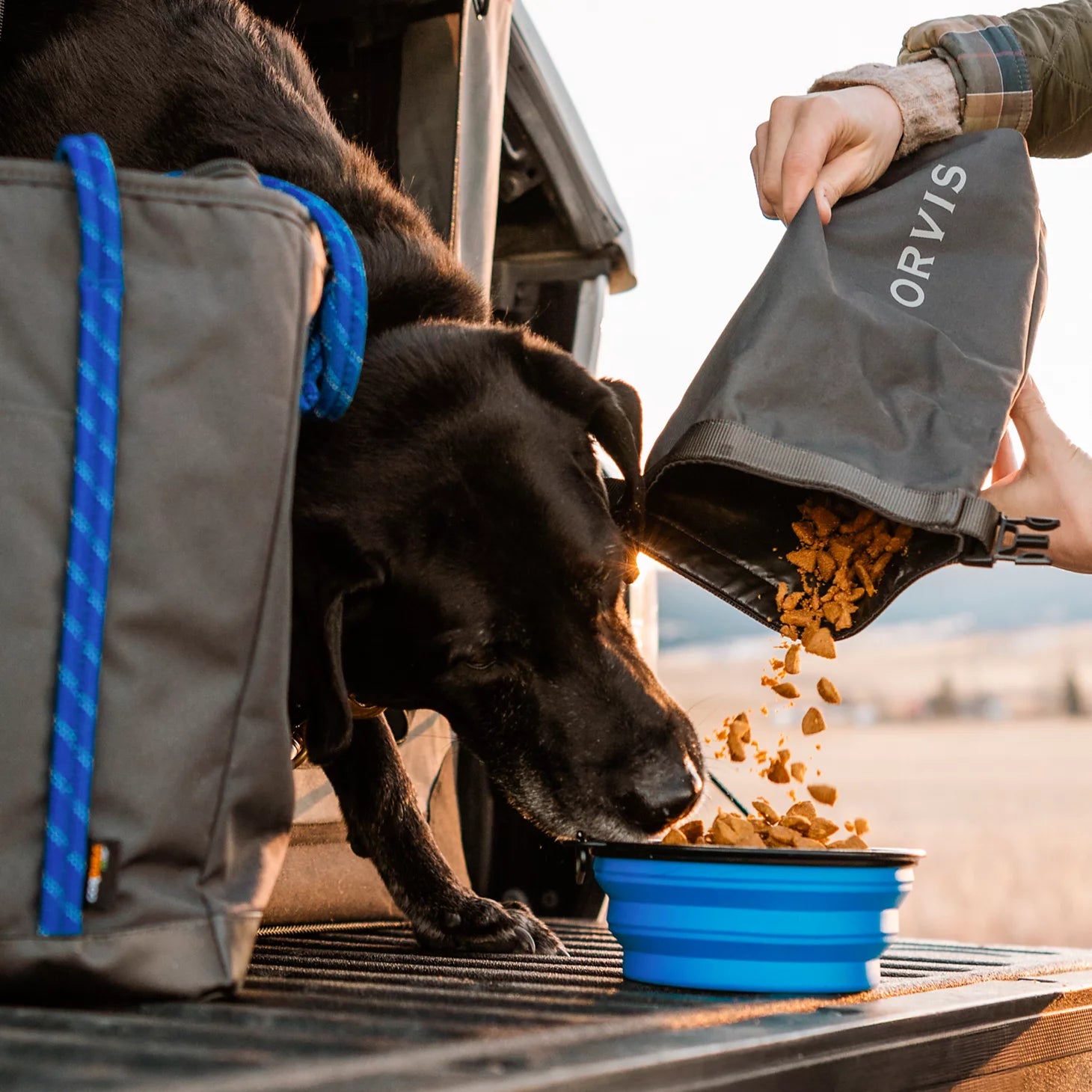Tough Trail® Dog Travel Tote Kit / Orvis