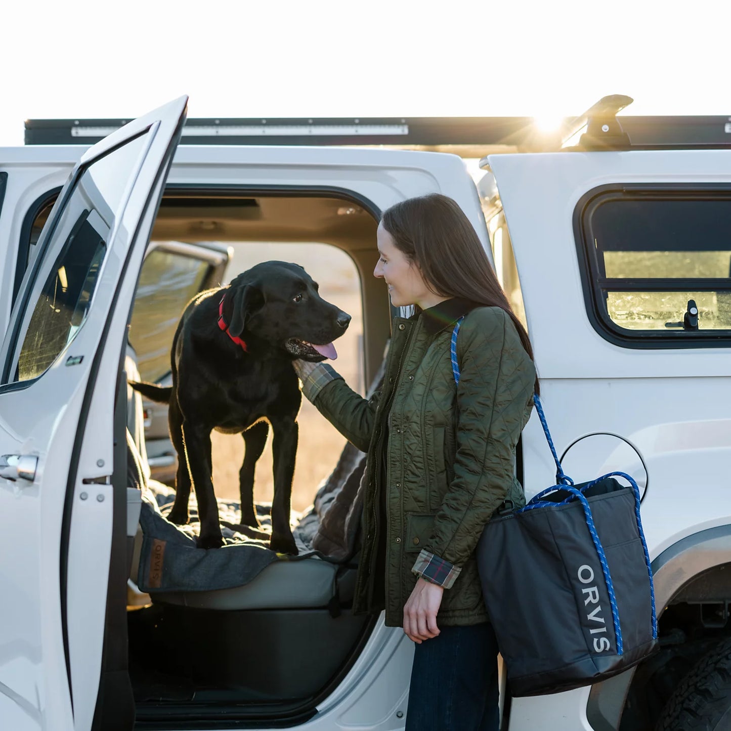 Tough Trail® Dog Travel Tote Kit / Orvis