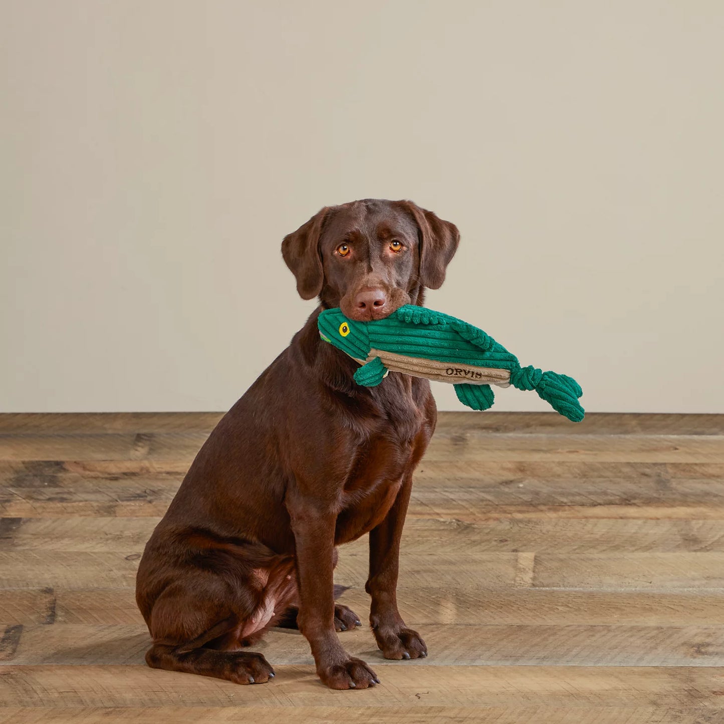 Animal Squeaky Toys / Orvis
