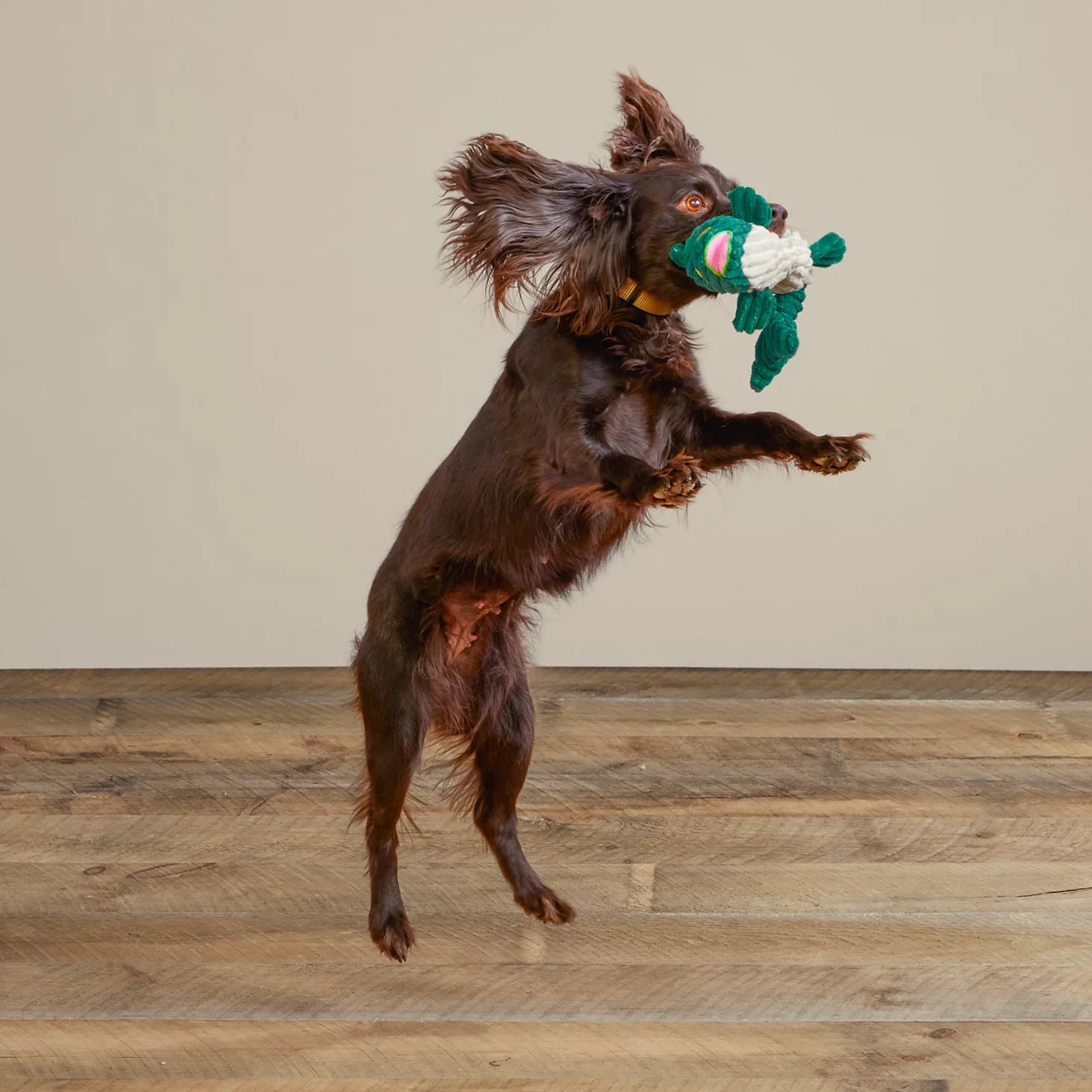 Animal Squeaky Toys / Orvis