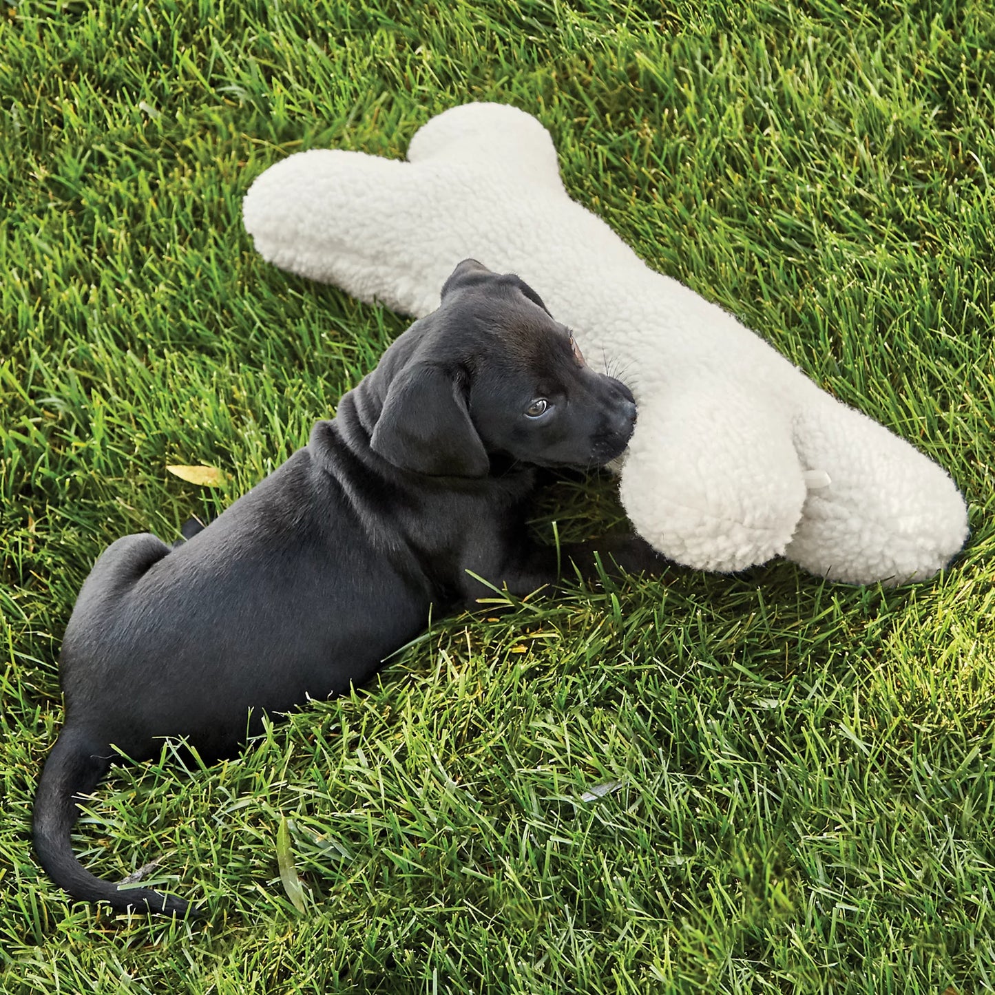 Fleece Dog Bone / Orvis