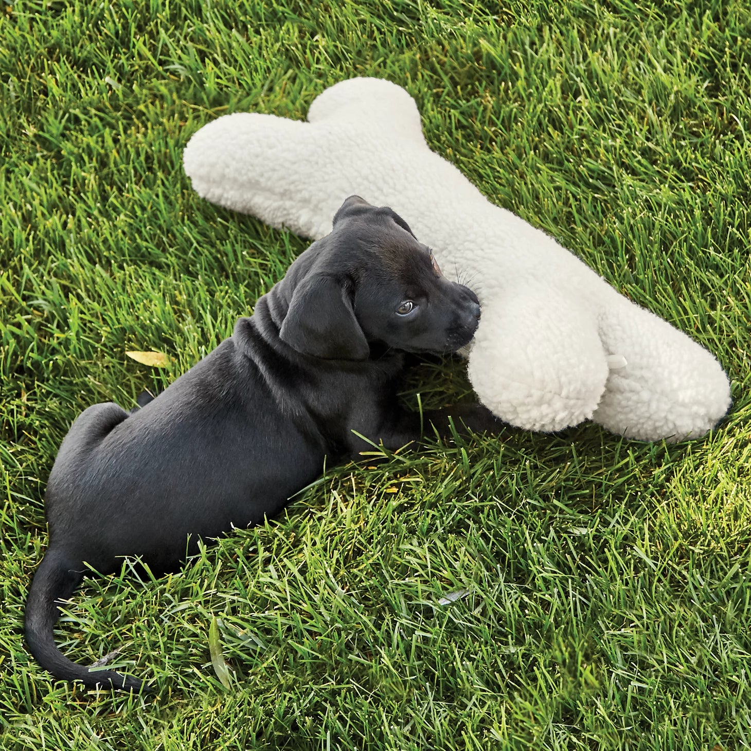 Fleece Dog Bone / Orvis