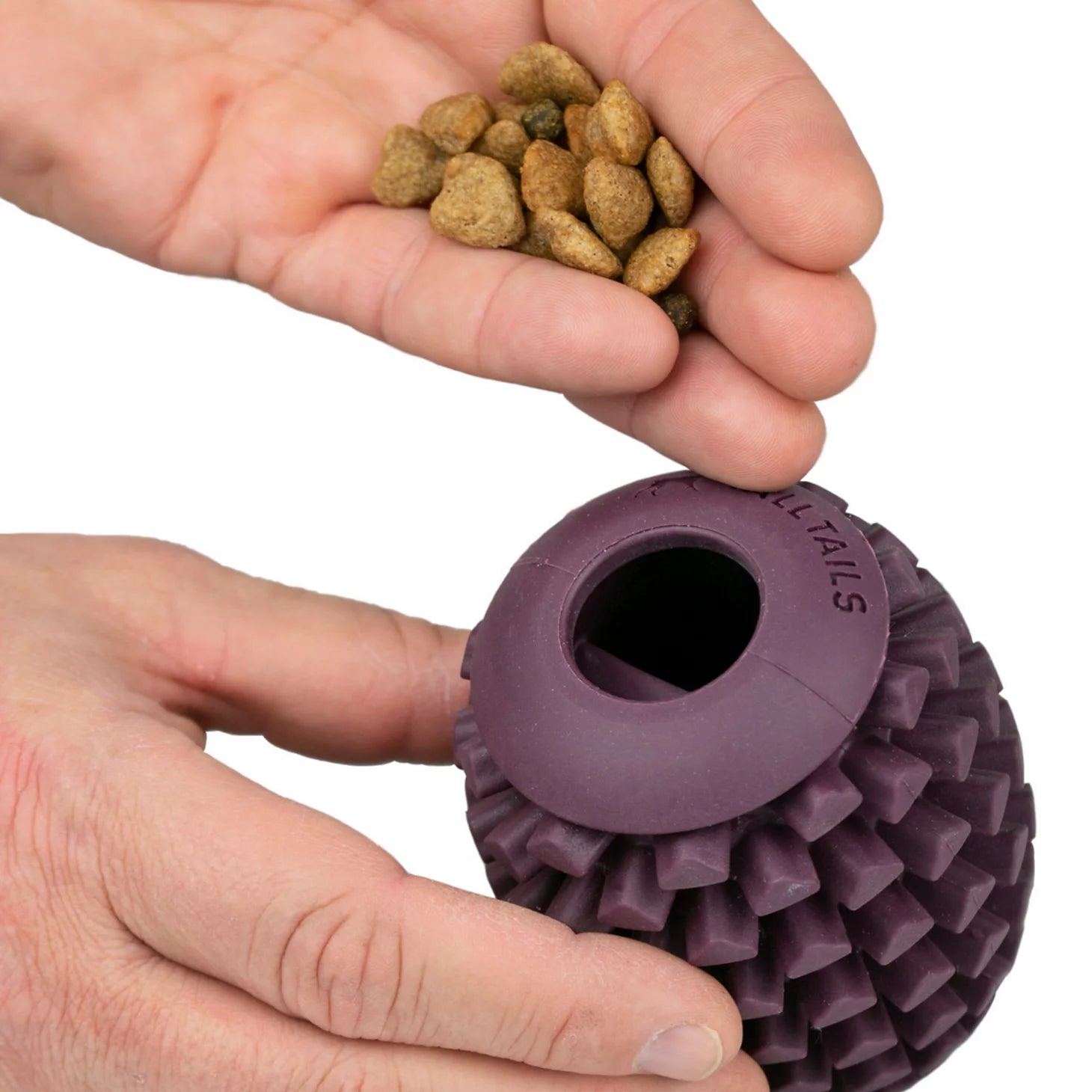 Pinecone Reward Dog Toy / Orvis