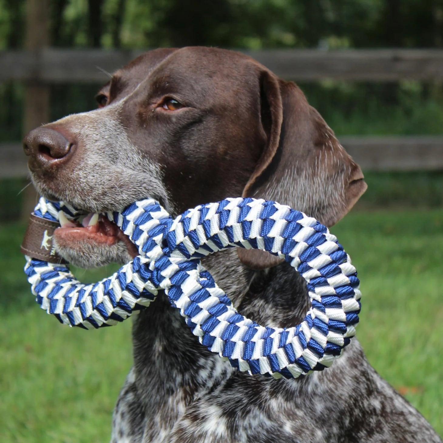 Infinity Braided Dog Toy / Orvis