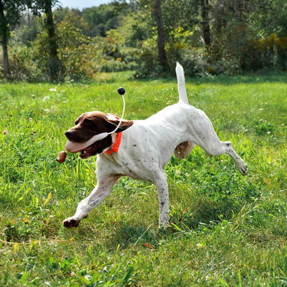 Game-Bird Training Dummy / Orvis