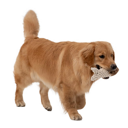 Rope Crunch Fish Dog Toy / Orvis