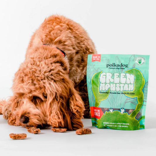 Polkadog Green Monstah Bones / Orvis