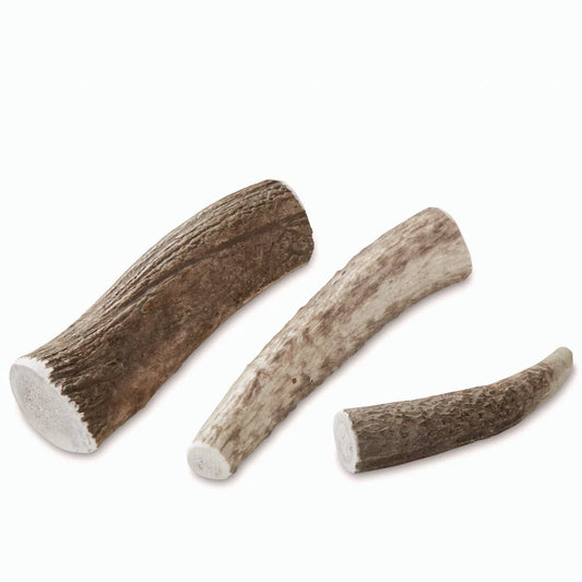 Elk Antler Chews / Orvis