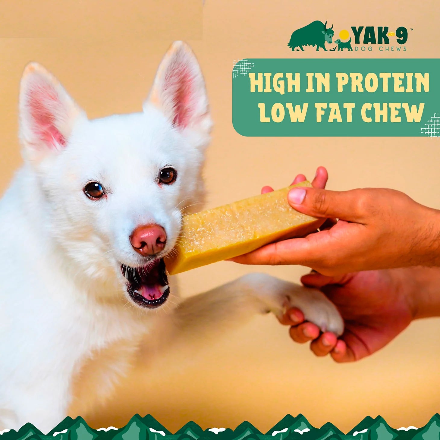 Yak-9 Dog Chew - Single / Orvis
