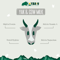Yak-9 Dog Chew - Single / Orvis