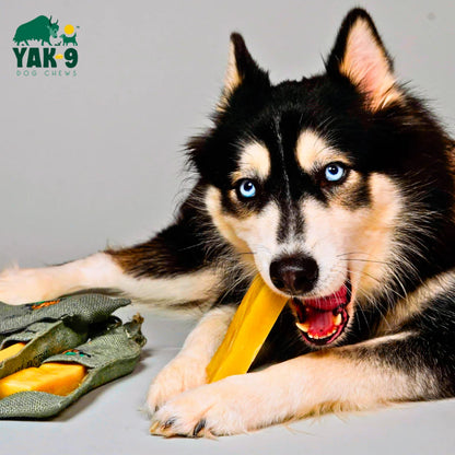 Yak-9 Dog Chew - Single / Orvis
