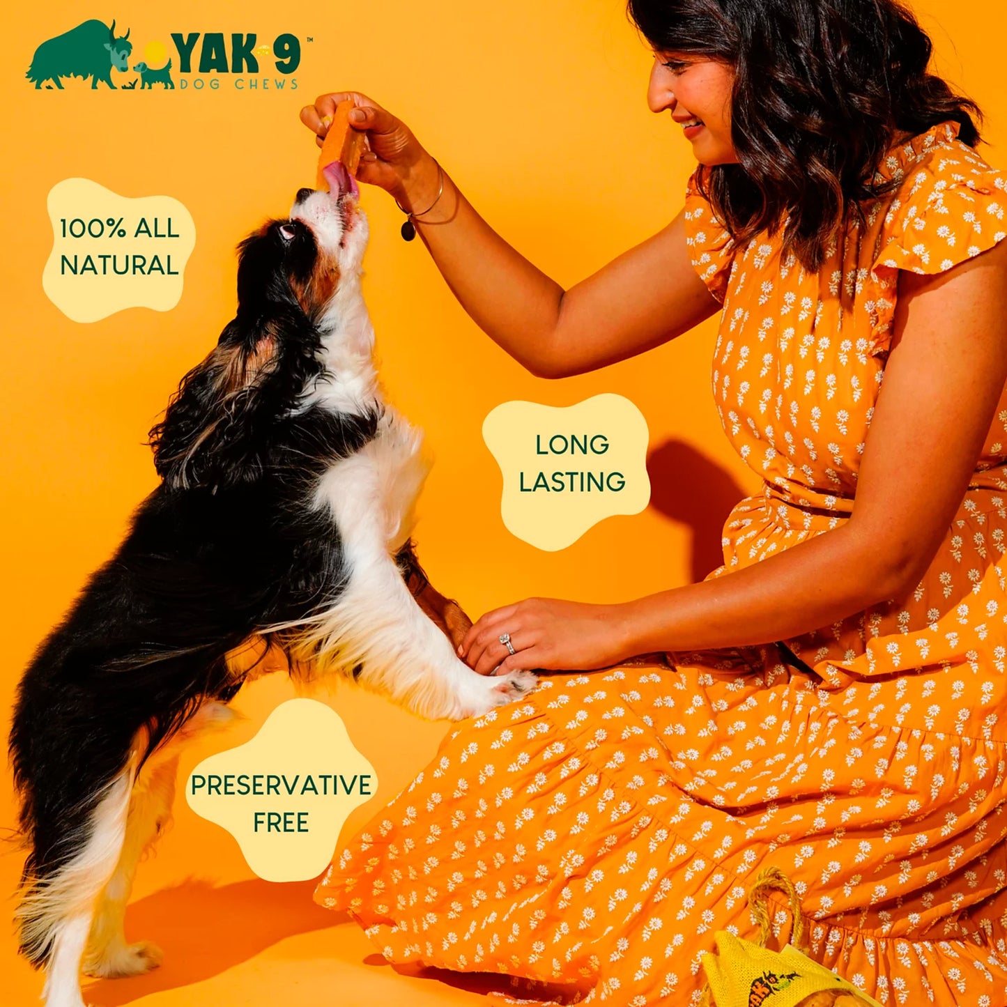 Yak-9 Dog Chew - Single / Orvis