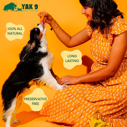 Yak-9 Dog Chew - Single / Orvis