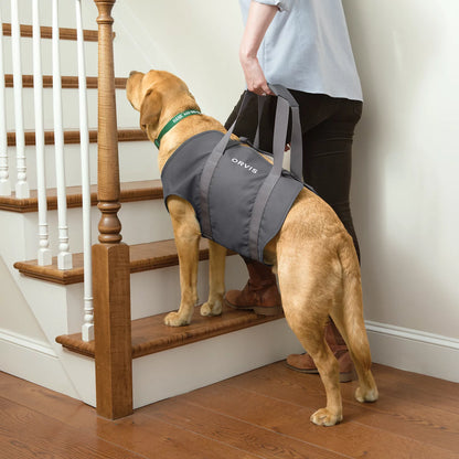 Dog Lift / Orvis