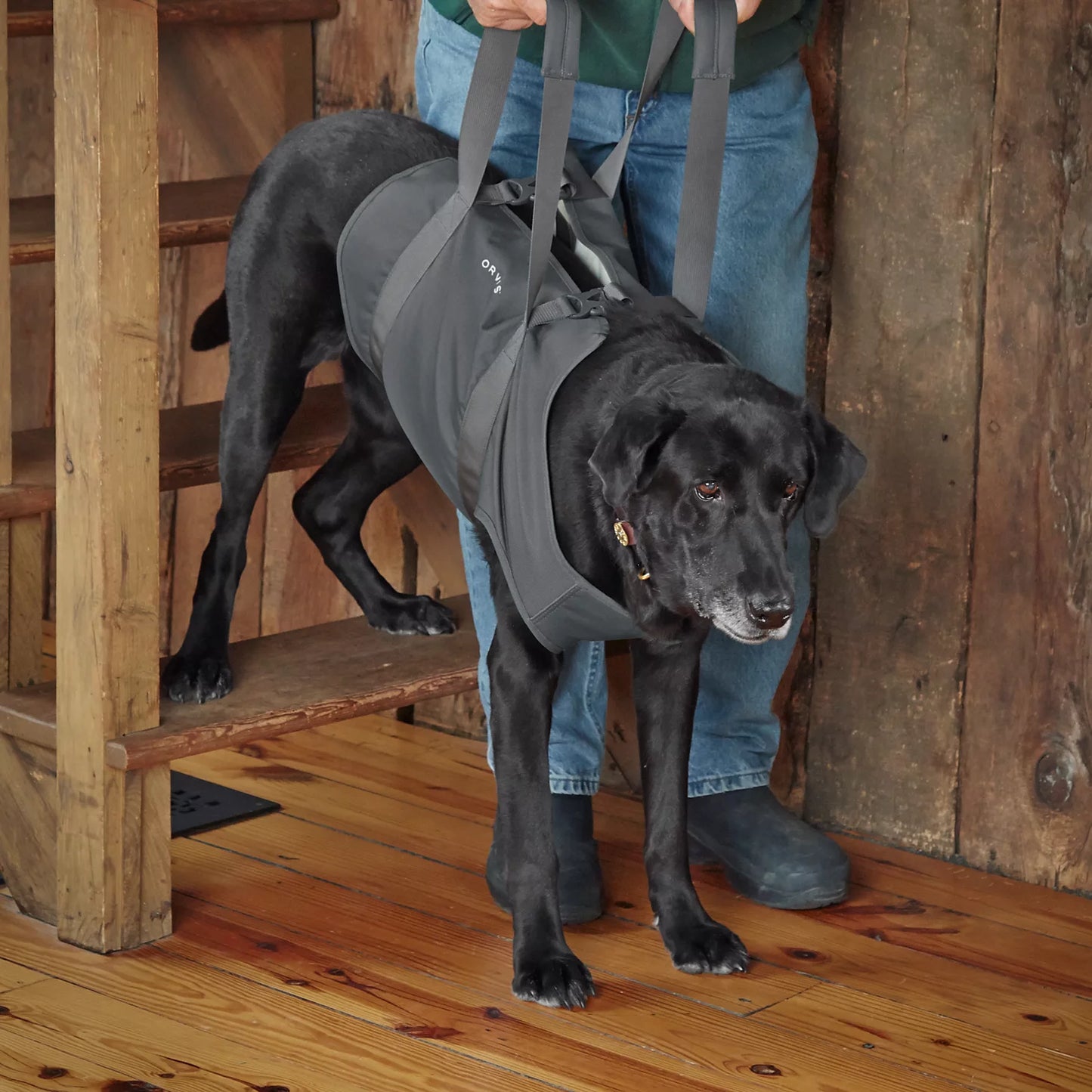 Dog Lift / Orvis