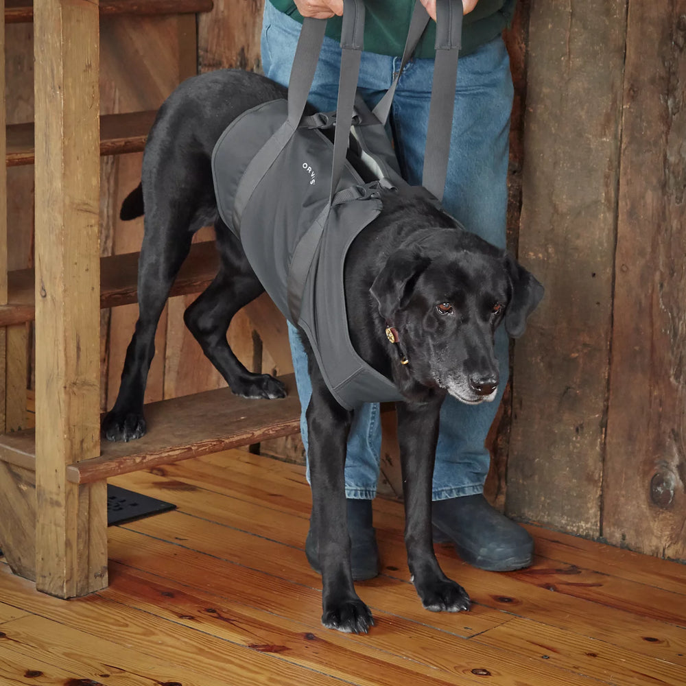 Dog Lift / Orvis