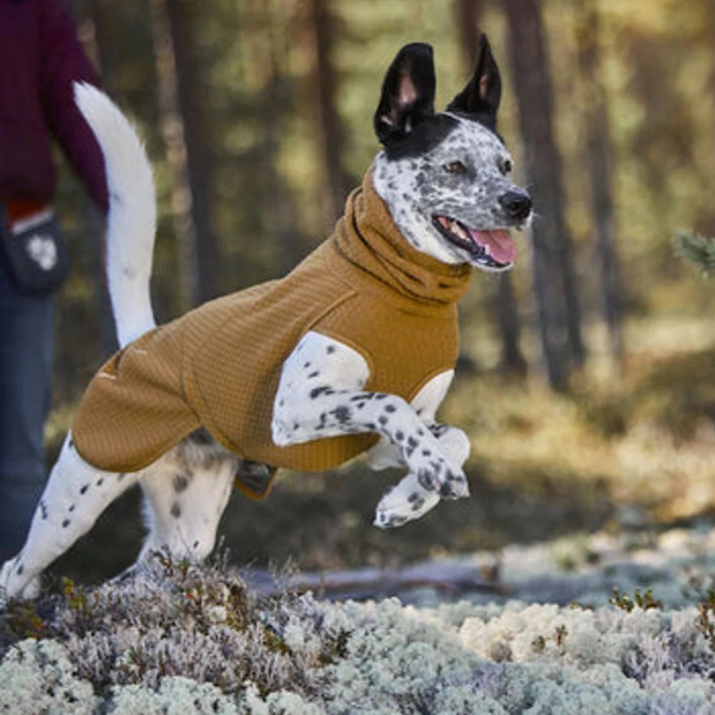 Hurtta Warming Midlayer Eco Dog Jacket / Orvis