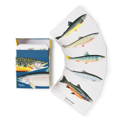 Trout of North America Cards / Orvis