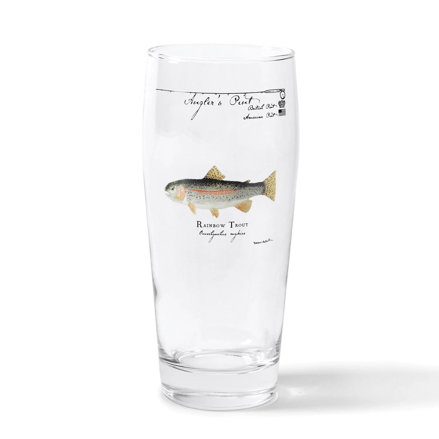 RAINBOW TROUT